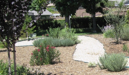 Abdul Vadakkan - Grand Prize Winner